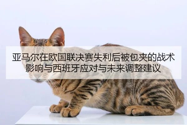 ya-ma-er-zai-ou-guo-lian-jue-sai-shi-li-hou-bei-bao-jia-de-zhan-shu-ying-xiang-yu-xi-ban-ya-ying-dui-yu-wei-lai-tiao-2-812.jpg
