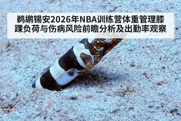 鹈鹕锡安2026年NBA训练营体重管理膝踝负荷与伤病风险前瞻分析及出勤率观察